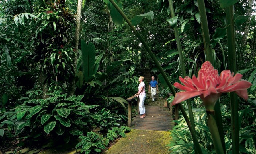 Cairns Botanic Gardens, Edge Hill, Queensland, Australia, Australia